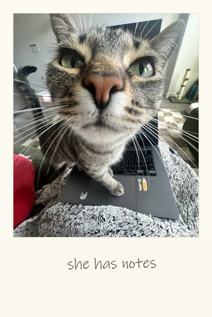 A polaroid of my own work: cats