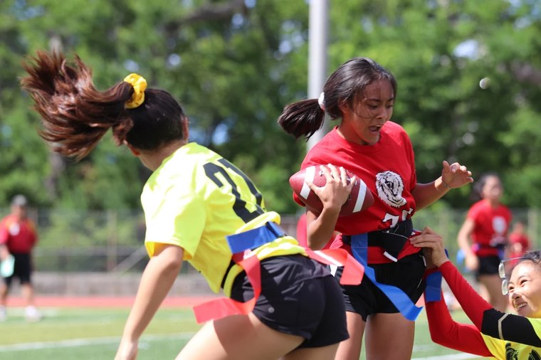 Flag pull