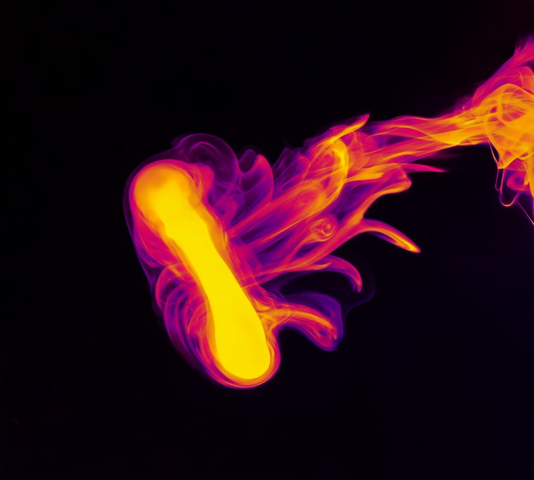 Vortex Rings
