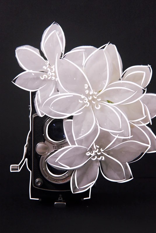 Paper flowers on a camera