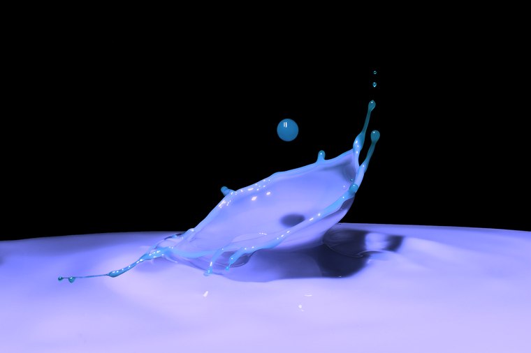 Clam