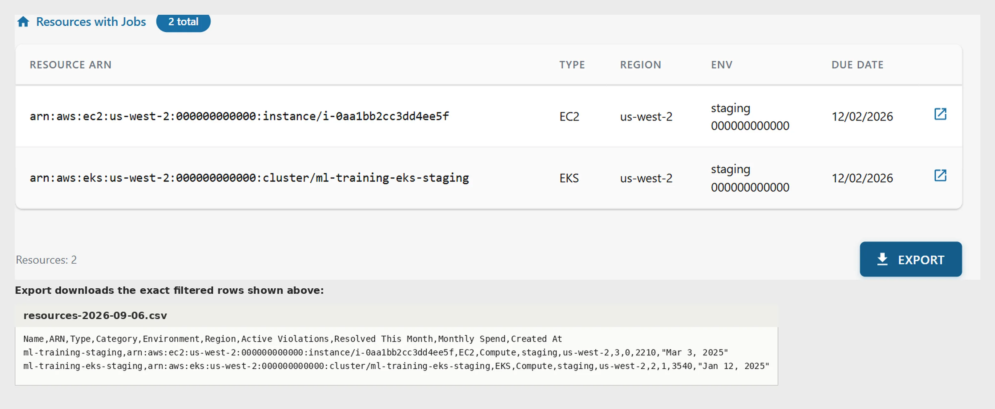 Two filtered rows on screen, and the downloaded file below containing those same two rows